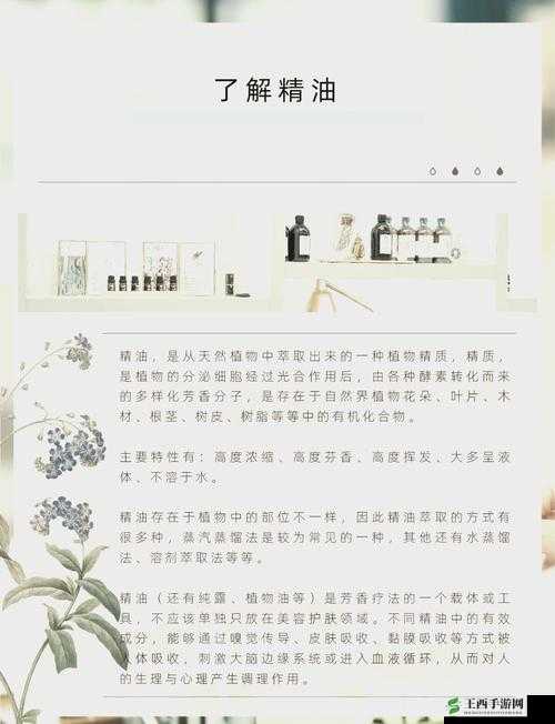 精油一线二线三线区:不同级别精油区域的特点与差异分析
