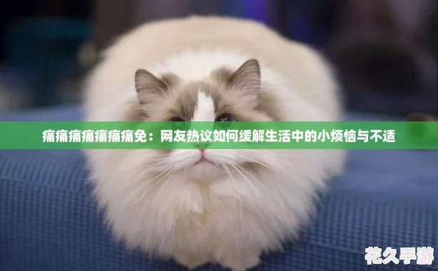 痛痛痛痛痛痛痛免：友热议如何缓解生活中的小烦恼与不适