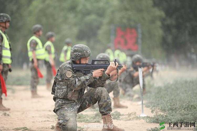 提枪直入两扇门震撼视频:直击现场的独特画面