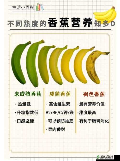 香蕉十八度和二十三度的区别：温度差异对其品质的影响探究