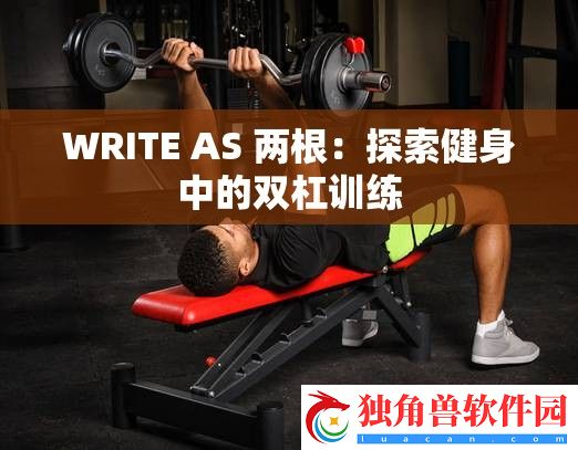 WRITE-AS-两根：探索健身中的双杠训练