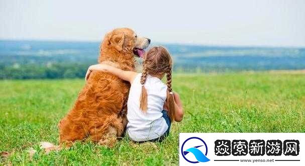 人-ZOOM-狗狗：可爱宠物的日常