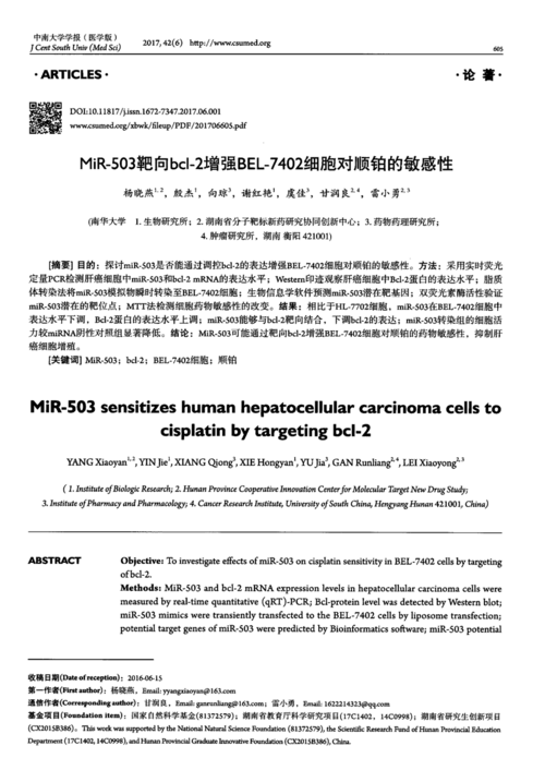 一起草会-17c 之相关内容详细探讨与深度分析