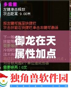 御龙在天属性加点攻略