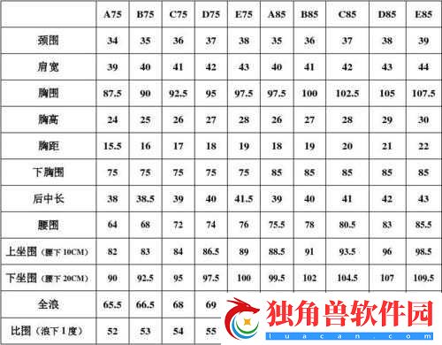 一码、二码及欧洲尺码相关知识介绍