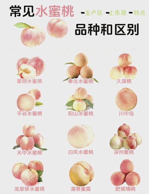 水蜜桃一三四专区，鲜嫩多汁，甜润可口，富含维生素和矿物质，让你享受健康美味