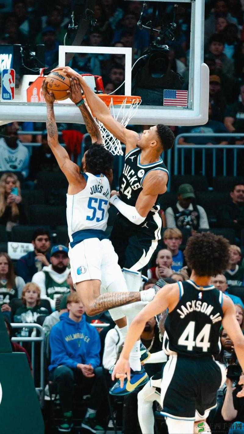 鲸鱼视频免费观看高清版 NBA 畅享精彩赛事盛宴