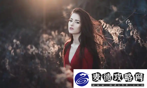 菠萝蜜在线观看免费观看电视