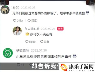 八分钟一只羊是什么意思