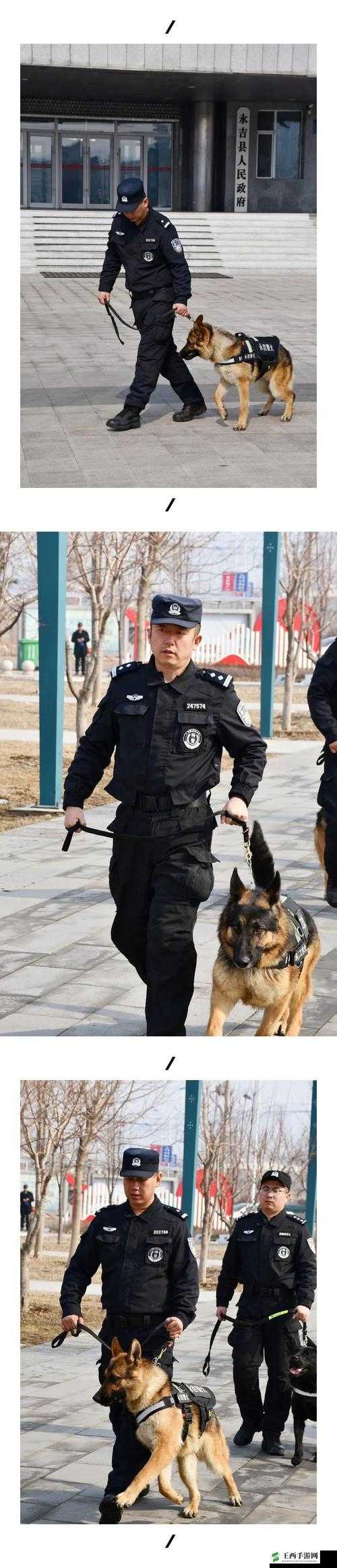 张警犬 9 分 10 秒头撞玻璃在线观看:被虐警犬引发争议