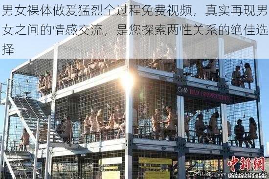 男女裸体做爰猛烈全过程免费视频，真实再现男女之间的情感交流，是您探索两性关系的绝佳选择