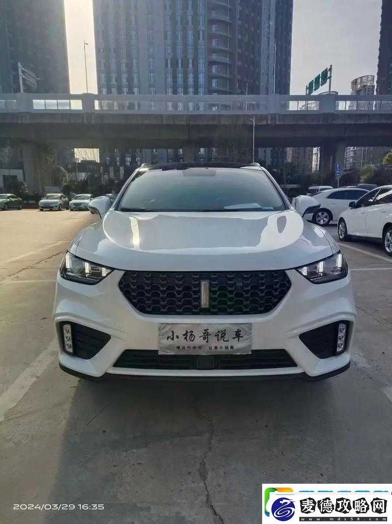 weyvv5-国产的-suv-不再限制观看：开启全新驾驶体验之旅