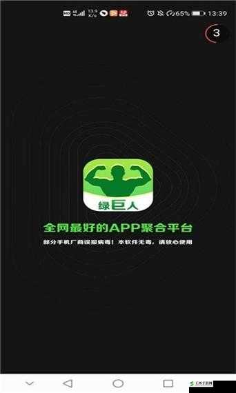 绿巨人黑科技破解app:开启无限可能的神奇工具