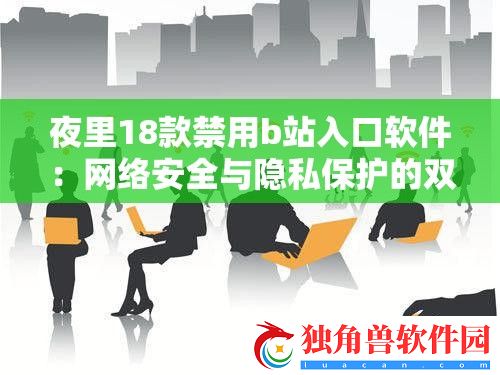 夜里18款禁用b站入口软件：络安全与隐私保护的双重挑战