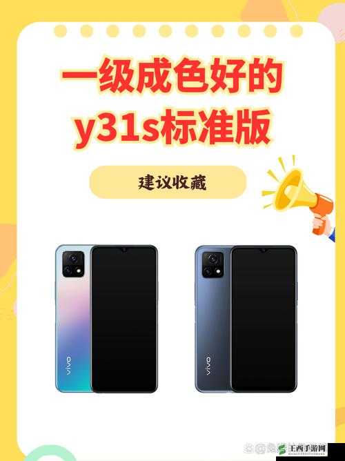 成色好的 Y31s 标准版入口取消隐藏:这一操作带来的影响与意义