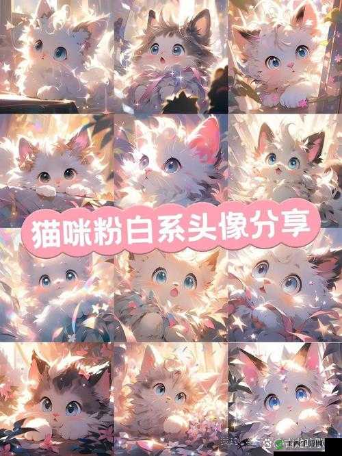 甜甜萌物语新版本,梦幻衣橱大揭秘,萌力全开!
