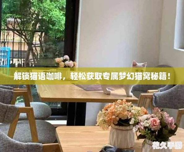 解锁猫语咖啡