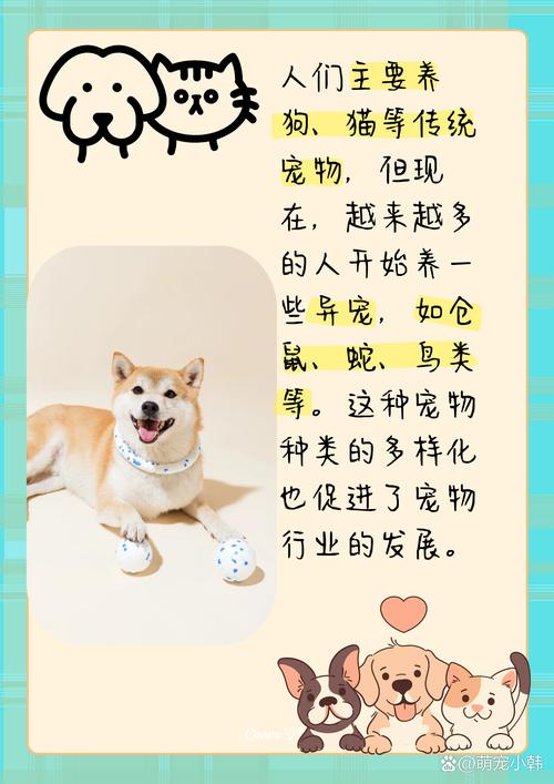 ZOOMSERVO 兽狗剧情解析:诡异的虚拟世界之谜