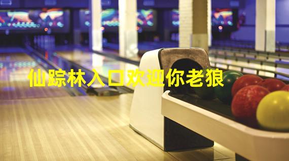 仙踪林老狼信息:揭秘网络热点背后的故事
