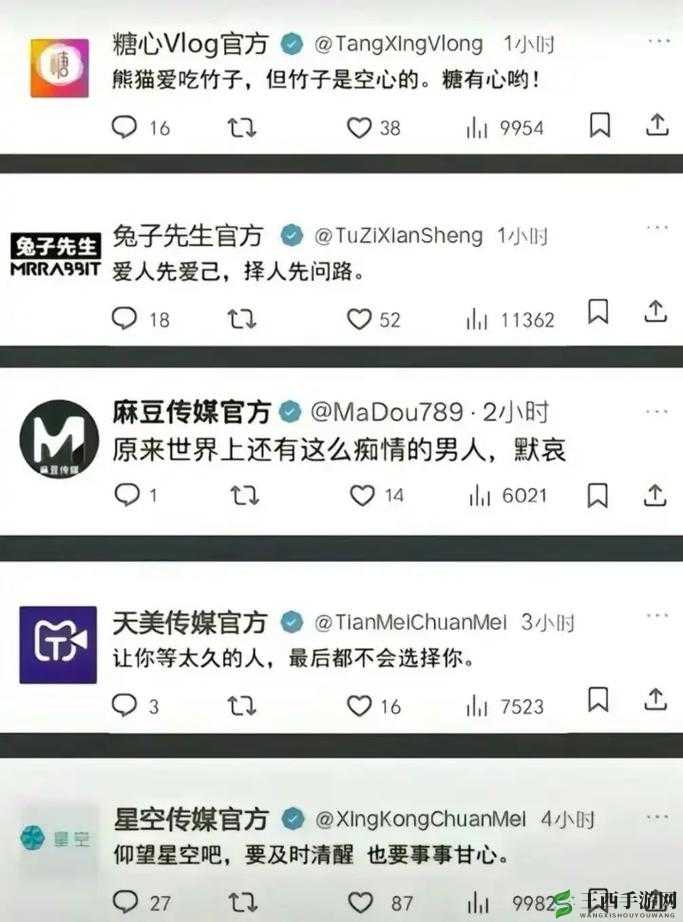 糖心VLOG产精国品免费老：关于其相关内容的详细探讨与分析