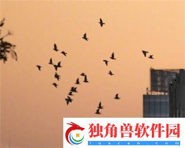囧次元动漫APP正版怎么样