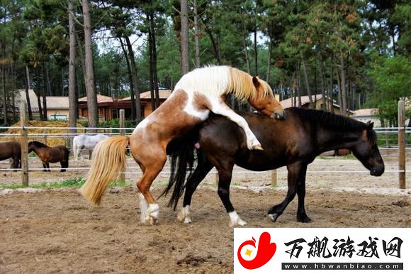瞧一瞧