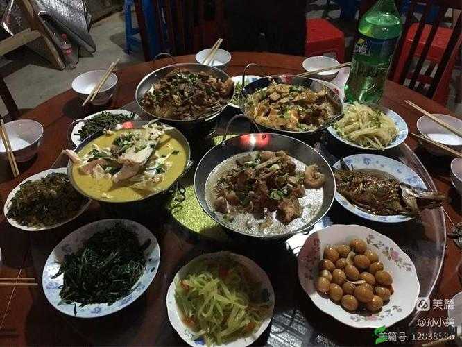 色狗导航:指引精准便捷的出行方向之路