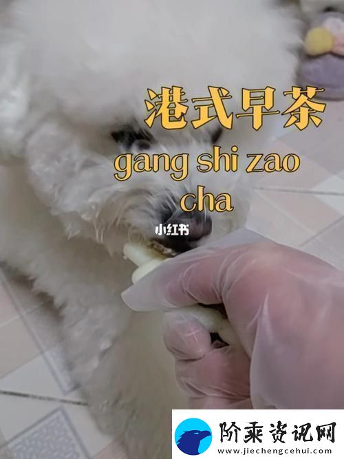美国人与动物胶配方有几种读者