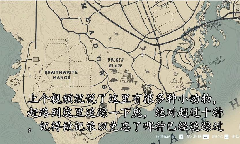 荒野大镖客2捕猎大师挑战3全面攻略：掌握技巧，轻松达成捕猎大师成就