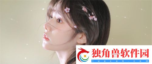 XL上司：了解这位角色的独特魅力