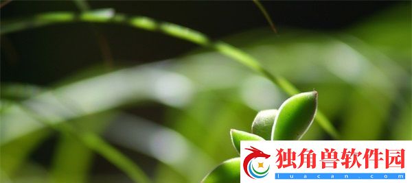 散场后11h言禾
