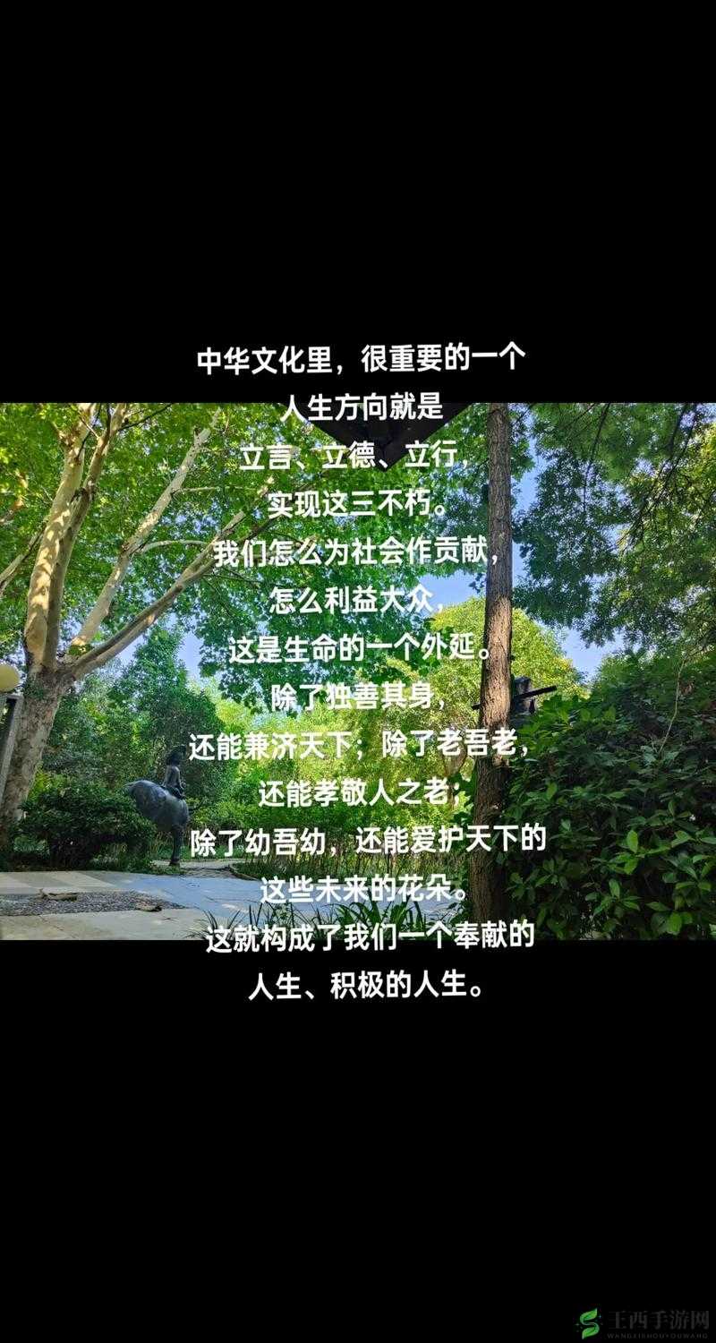 国产 18 页：一部展现中国文化的经典之作