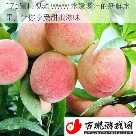 17c-蜜桃视频-www-水嫩多汁的新鲜水果-让你享受甜蜜滋味