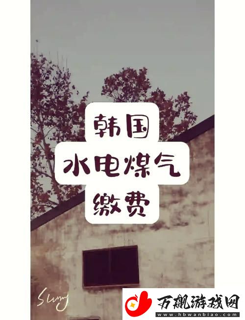 探索“好看的韩国三色电费”的背后故事与魅力