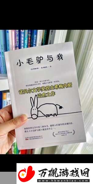 小毛驴影视回顾经典