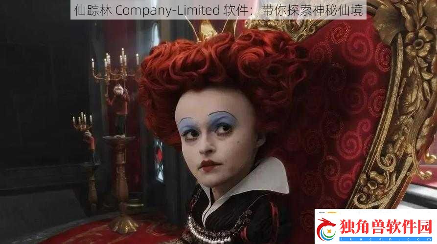 仙踪林-Company-Limited-软件：带你探索神秘仙境