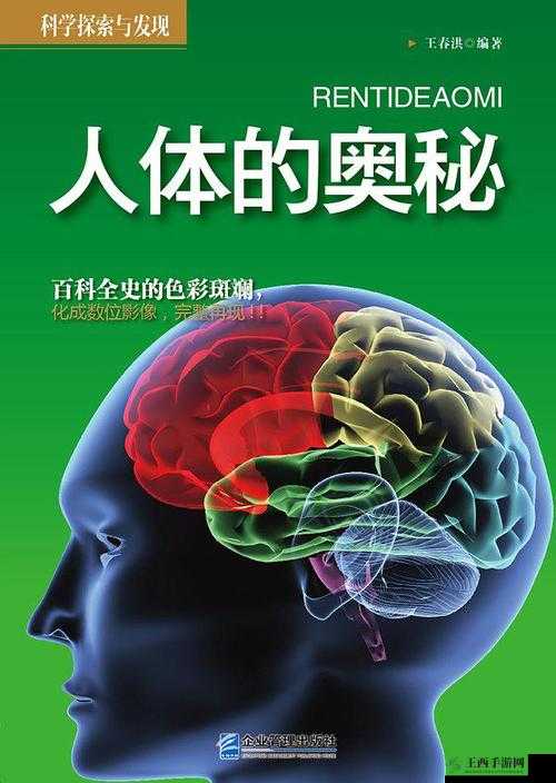 西西 114 人体：探索未知的奥秘