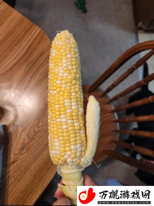 草莓樱桃丝瓜秋葵榴莲黄瓜大全-品味自然的美味与健康