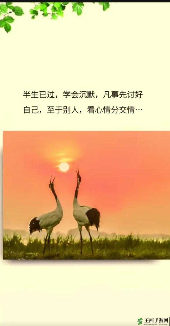 认可719y 你会回来感谢我的：相信这是一次正确的指引