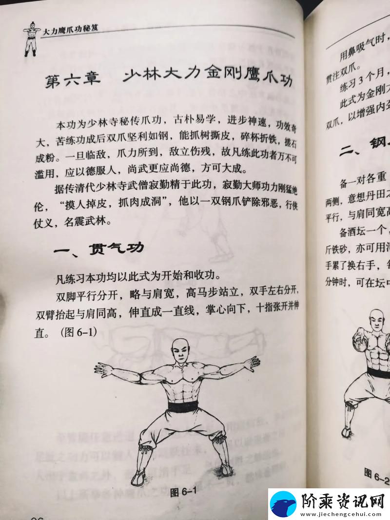 散手武学鹰爪功秘传功法出处探寻