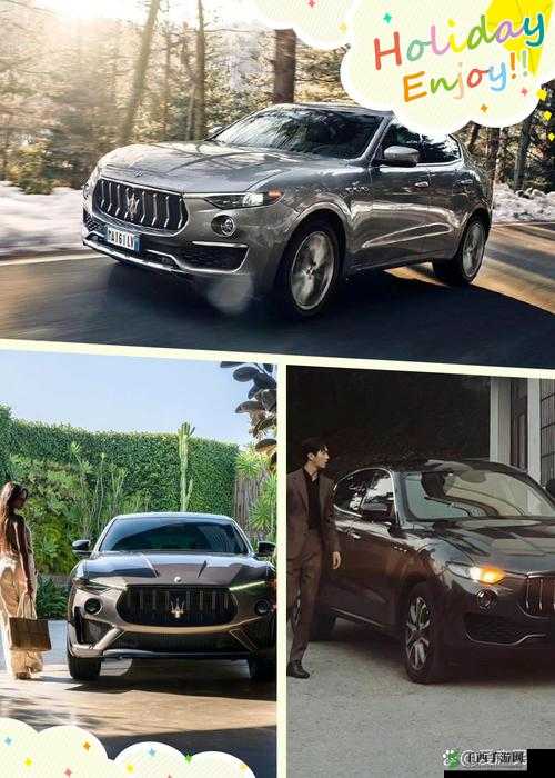 国产欧美大尺寸 SUV 欧美：探讨其独特魅力与市场前景