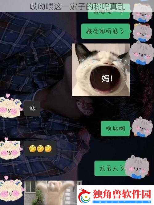 哎呦喂这一家子的称呼真乱