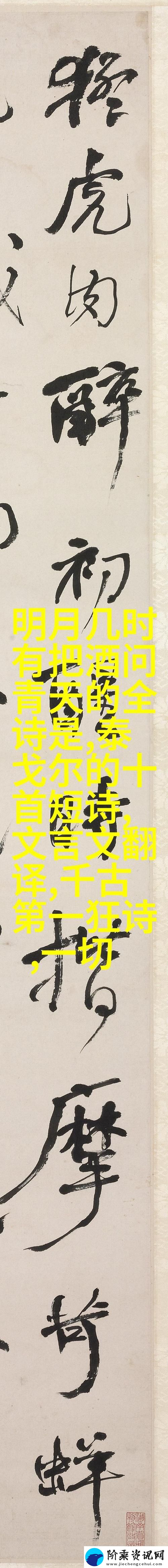 x7x7任意噪入口-探索无尽的可能性柯林资讯