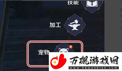 无神之界怎么放生宠物