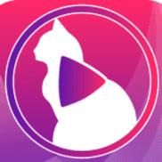 小猫直播App更新了-平台：全新功能助力主播与观众互动更紧密