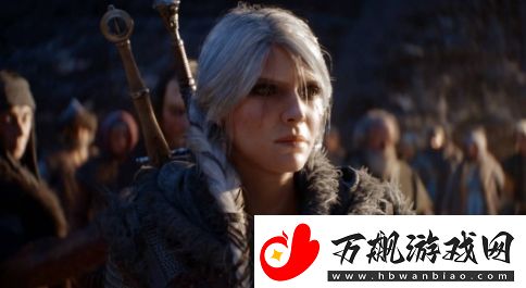 巫师4效应-CDPR-2024年股价大涨了71%