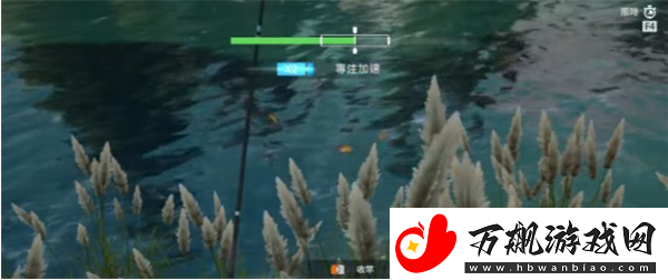 星球重启养鱼方法一览