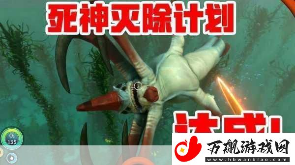 探险者的终极挑战