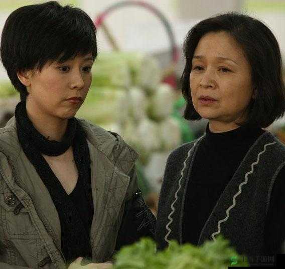 麻花影视媳妇的美好时代：一部温馨感人且值得回味的经典剧集
