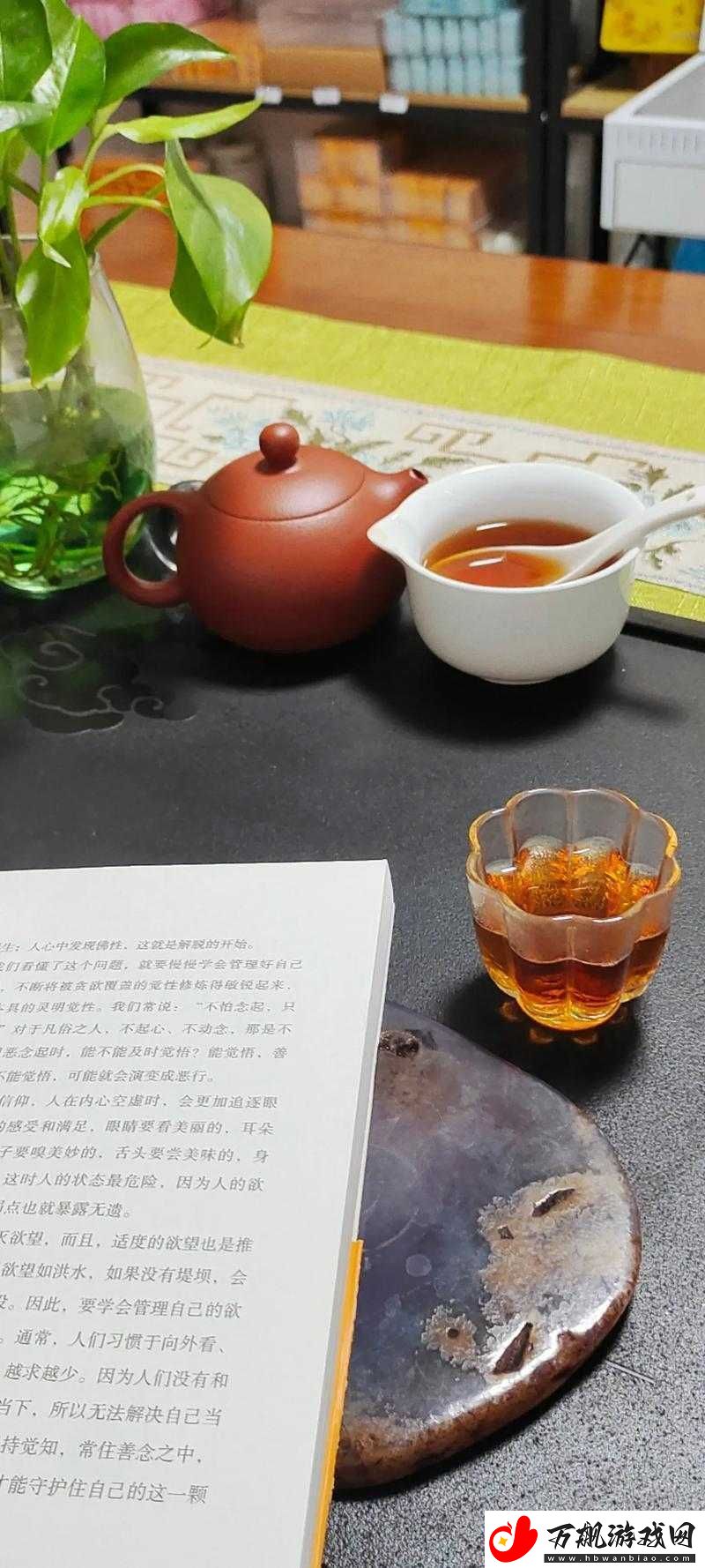 300-一晚同城约茶：共享宁静时光的独特邀约